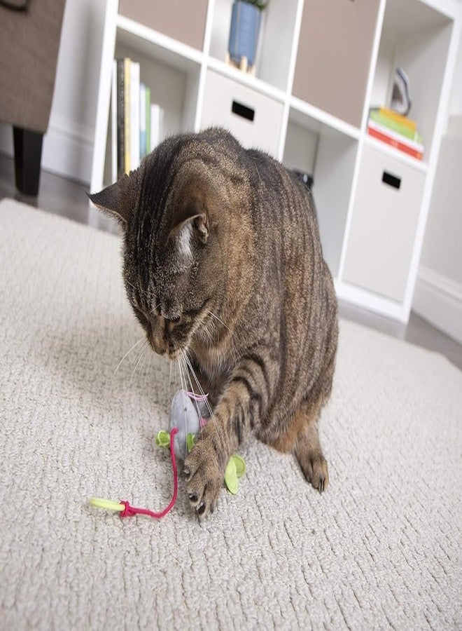 KittuPet Bouncy Mouse Hunt Cat Toys | Natural Instinct Chase & Play Toy for Cats & Kittens, Pack of 2 - Image 3